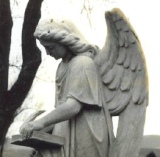 GeneSearch genealogy angel