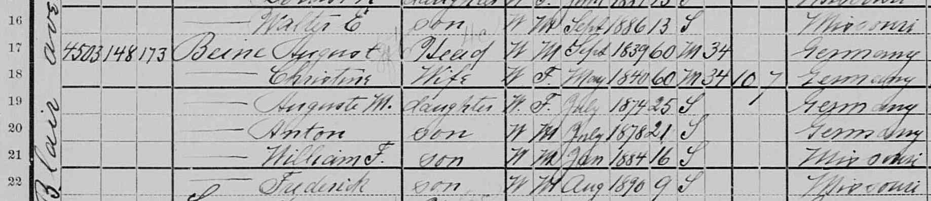 August and Christine Beine and family, 1900 census, St. Louis, Missouri (NARA/FamilySearch)