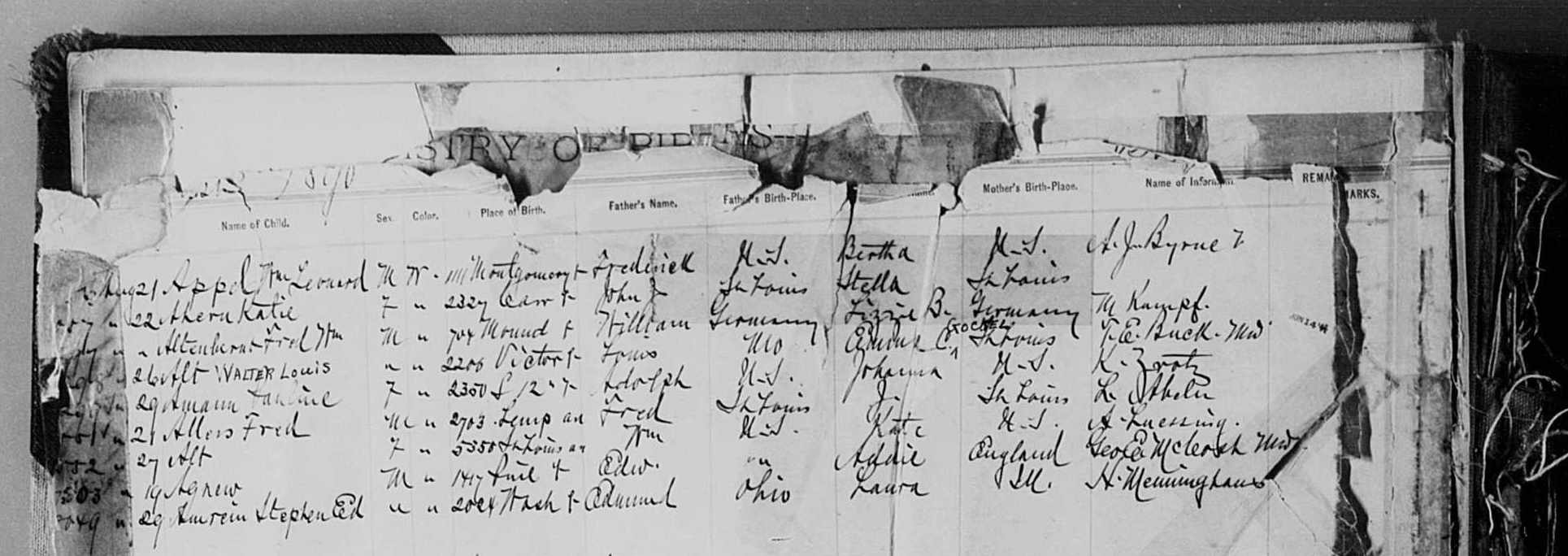 Fred Wm Altenbernd’s birth record, showing his parents William, and Lizzie B.